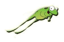 leap.gif
